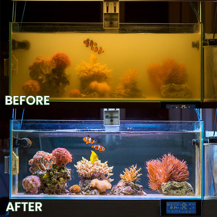 MOONPEAK Powerful Aquarium Water Purification Tablet