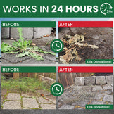 Weed Destruction Powder